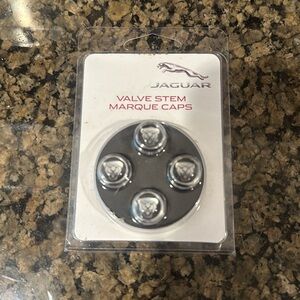 Jaguar tire caps